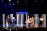 294 HAIRSPRAY2020LBPHS