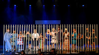 289 HAIRSPRAY2020LBPHS