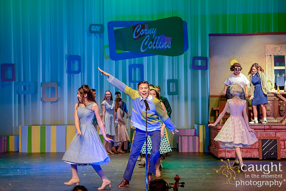 038 HAIRSPRAY2020LBPHS