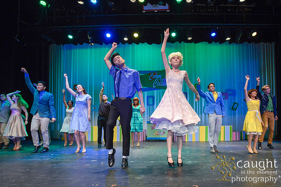 017 HAIRSPRAY2020LBPHS