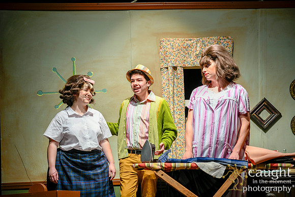 051 HAIRSPRAY2020LBPHS