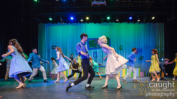 018 HAIRSPRAY2020LBPHS