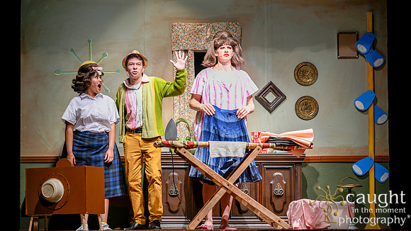 053 HAIRSPRAY2020LBPHS