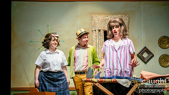 049 HAIRSPRAY2020LBPHS
