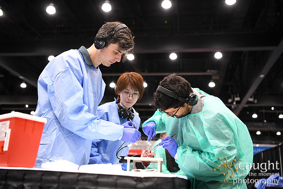 937 STS2025-Hands-On Courses