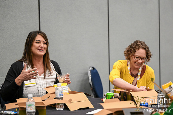 1221 IEEE PES TandD Anaheim 2024