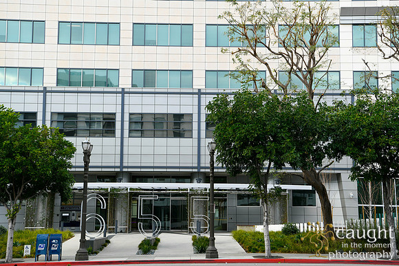 008 Glendale 2020