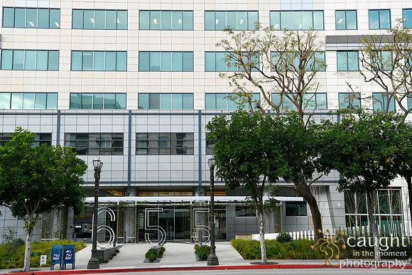 009 Glendale 2020