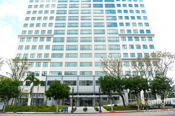010 Glendale 2020