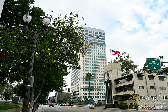 014 Glendale 2020
