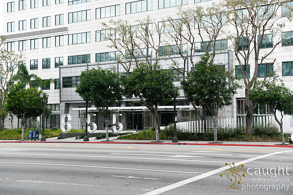 021 Glendale 2020