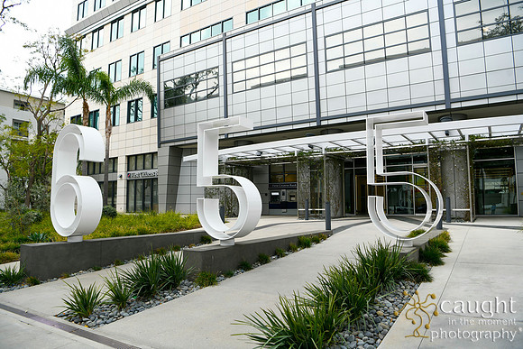 029 Glendale 2020
