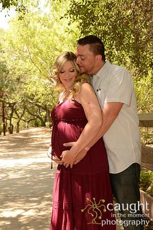 10 Maternity Portraits
