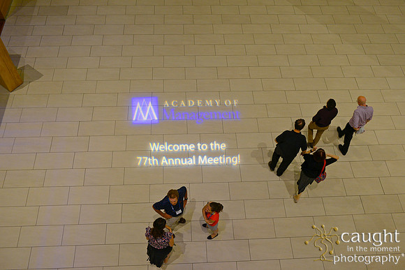 028 AoM Conference 2017 Atlanta