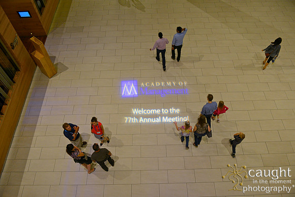 030 AoM Conference 2017 Atlanta