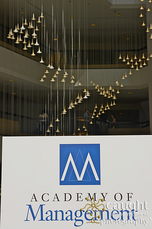 033 AoM Conference 2017 Atlanta