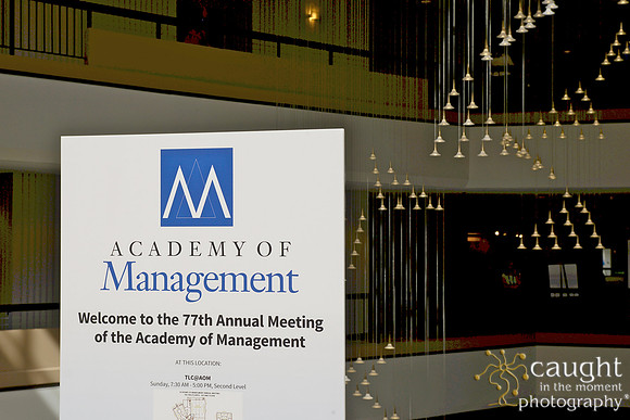 031 AoM Conference 2017 Atlanta