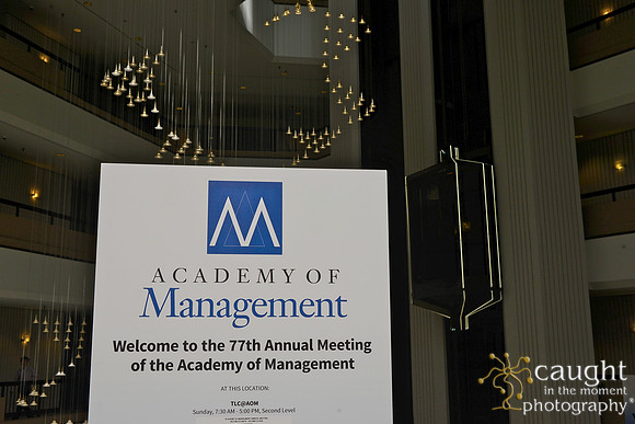 034 AoM Conference 2017 Atlanta