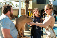 051 Aquarium of the Pacific Blue Whale Gala and After Party 2025