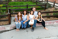 015 McDowell Family Portraits in Long Beach