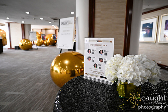 016 Imagine Gala 2024