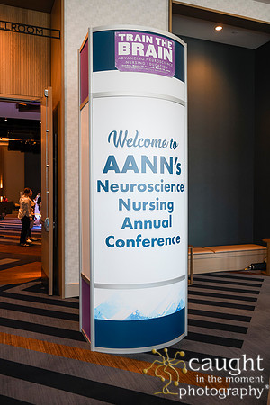 031 AANN 2024
