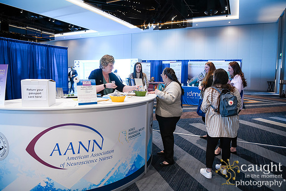 036 AANN 2024