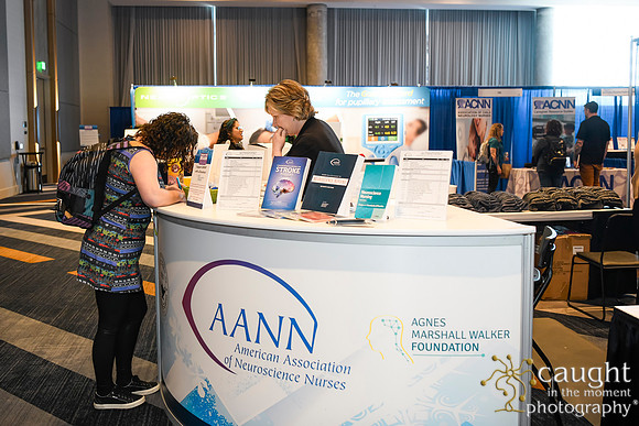 068 AANN 2024