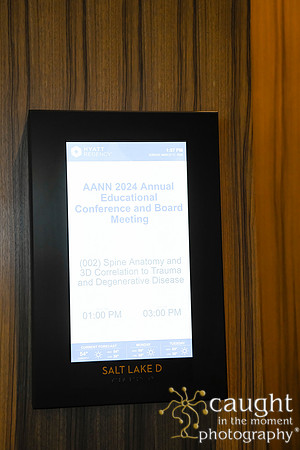 193 AANN 2024