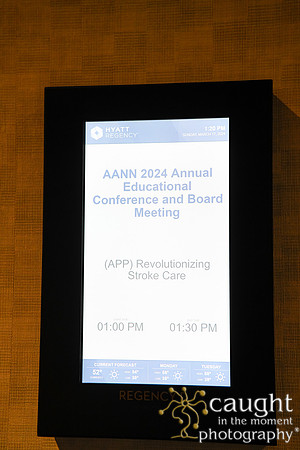 205 AANN 2024