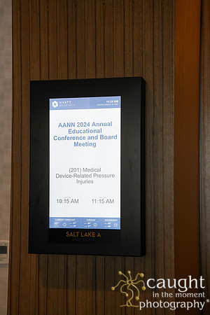 228 AANN 2024