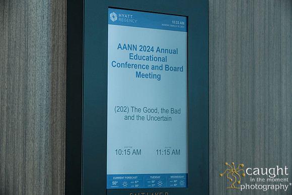 238 AANN 2024