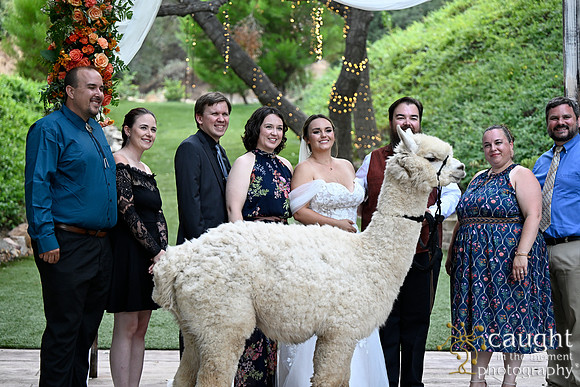782 Chompff Wedding at Los Willows