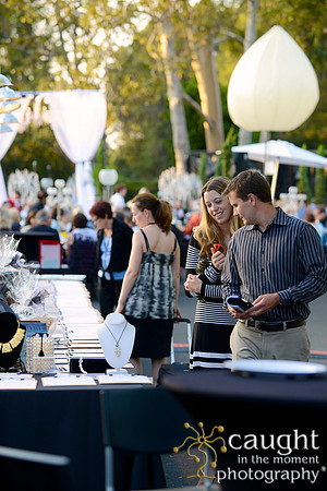 100 MTW Broadway in the Park 2014