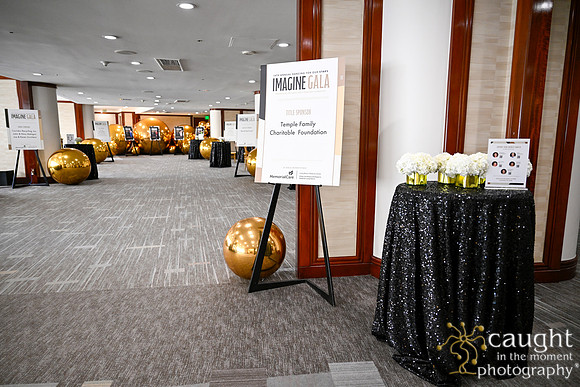 010 Imagine Gala 2024