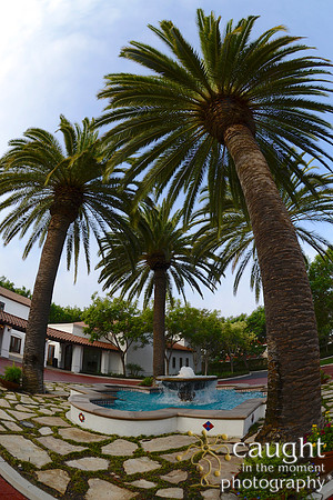 053 California JPIA