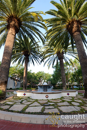 031 California JPIA