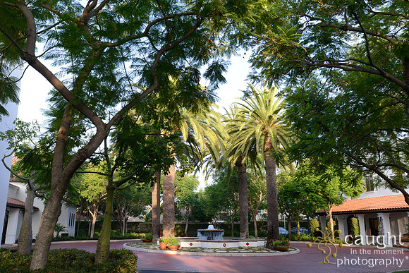 027 California JPIA
