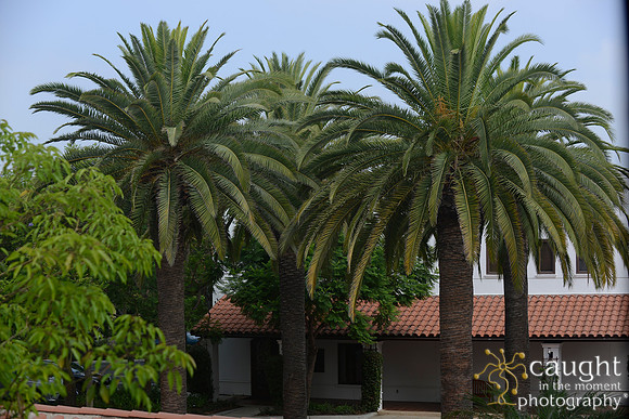 084 California JPIA