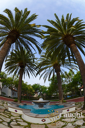 054 California JPIA