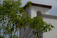 015 California JPIA