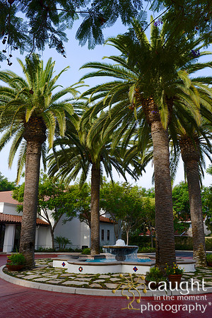 046 California JPIA