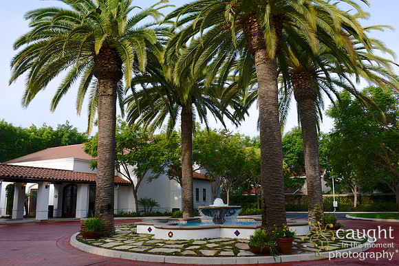 045 California JPIA