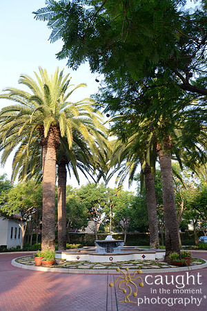 028 California JPIA