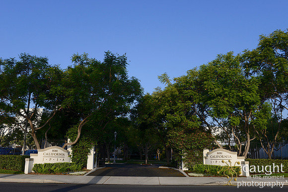 004 California JPIA