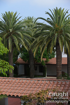 085 California JPIA