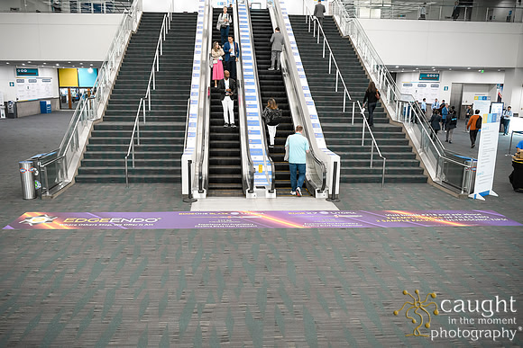 073 AAE 2024 in Los Angeles - Registration & Signage