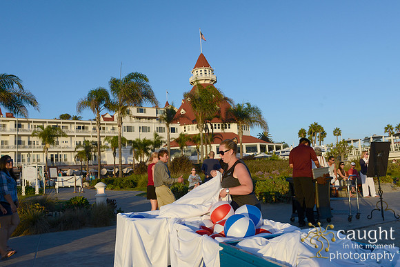 070 Dermatology Forum for Veterinarians 2014 Hotel del Coronado