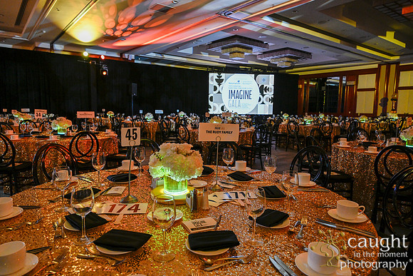 050 Imagine Gala 2024