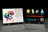 633 IAP Expo 2019-New Product Contest